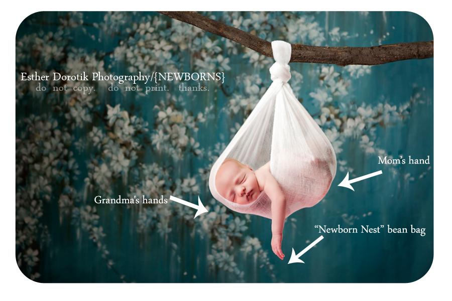 Hanging Newborn Photography