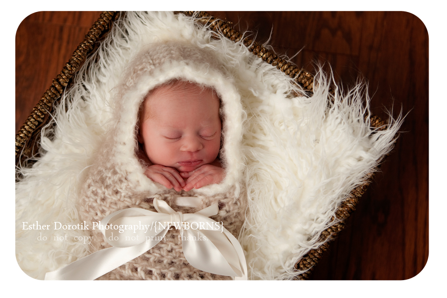 Newborn In Basket