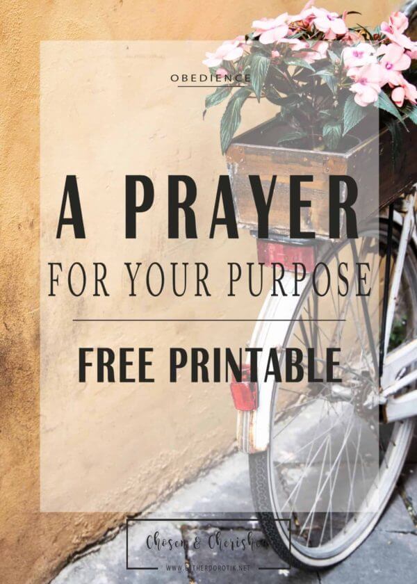 A-prayer-for-your-purpose-living-life-on-purpose