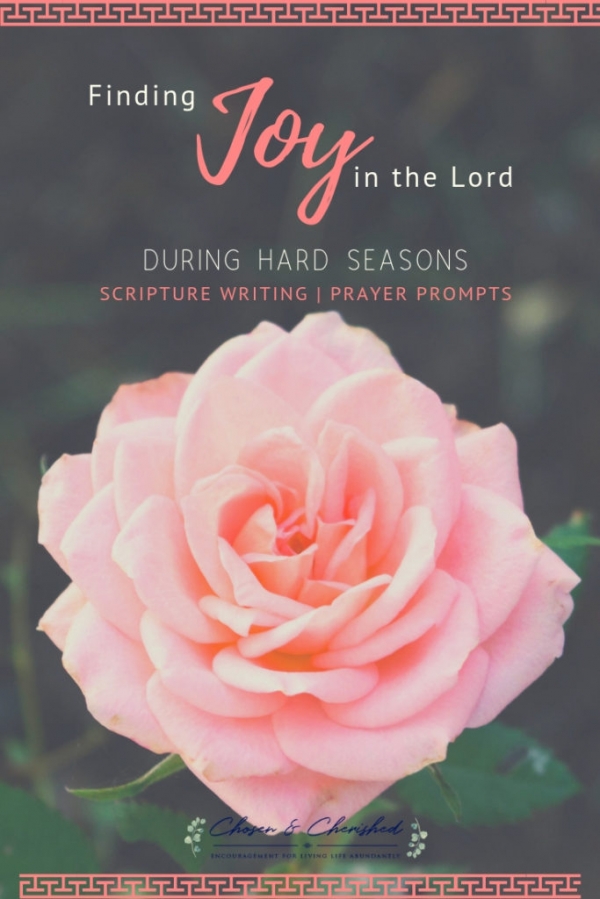 Bible Verses About Joy  Prayer Prompts and Scripture Writing for being