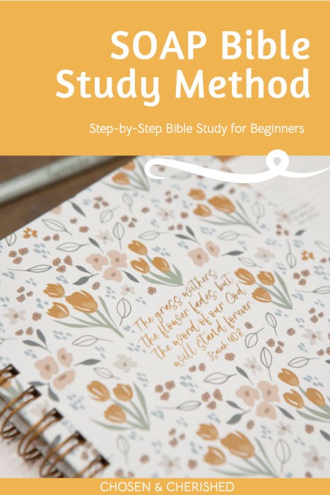 How to Use the SOAP Bible Study method